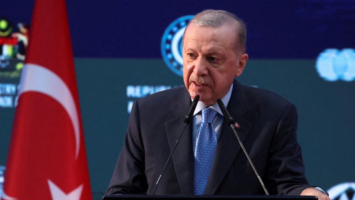 2025 03 16t150322z 1 lynxmpel2f07i rtroptp 3 turkey usa erdogan