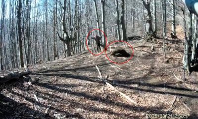 Hiker in Slovakia fends off charging bear with axe after bear spray fails. Shocking forest encounter caught on video in Malá Fatra mountains.