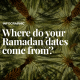 Interactive Ramadan 2025 dates2 04 1741767030