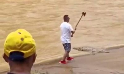 A man’s attempt to kill a crocodile with an axe backfired when the reptile lunged at him. Now, he faces legal trouble as the shocking video sparks online outrage.