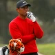 Tiger Woods12