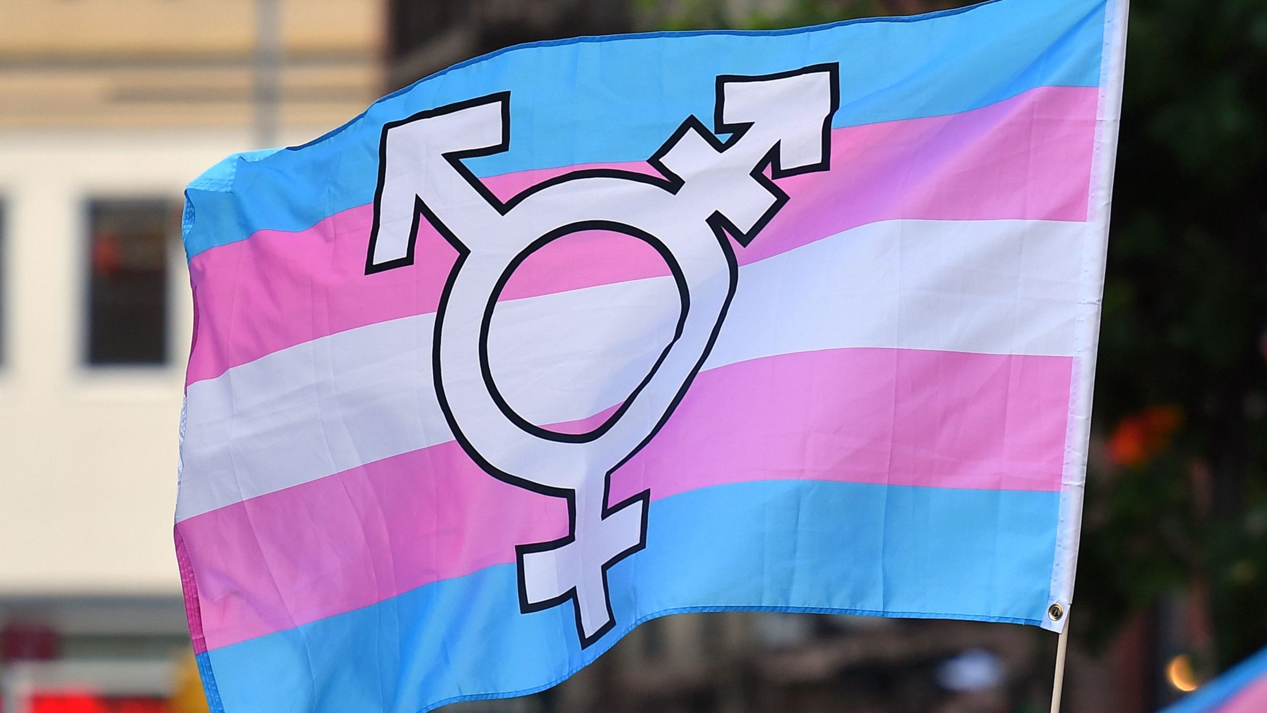 Trans flag thumbnail scaled