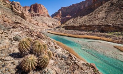 arizona gettyimages 520754508