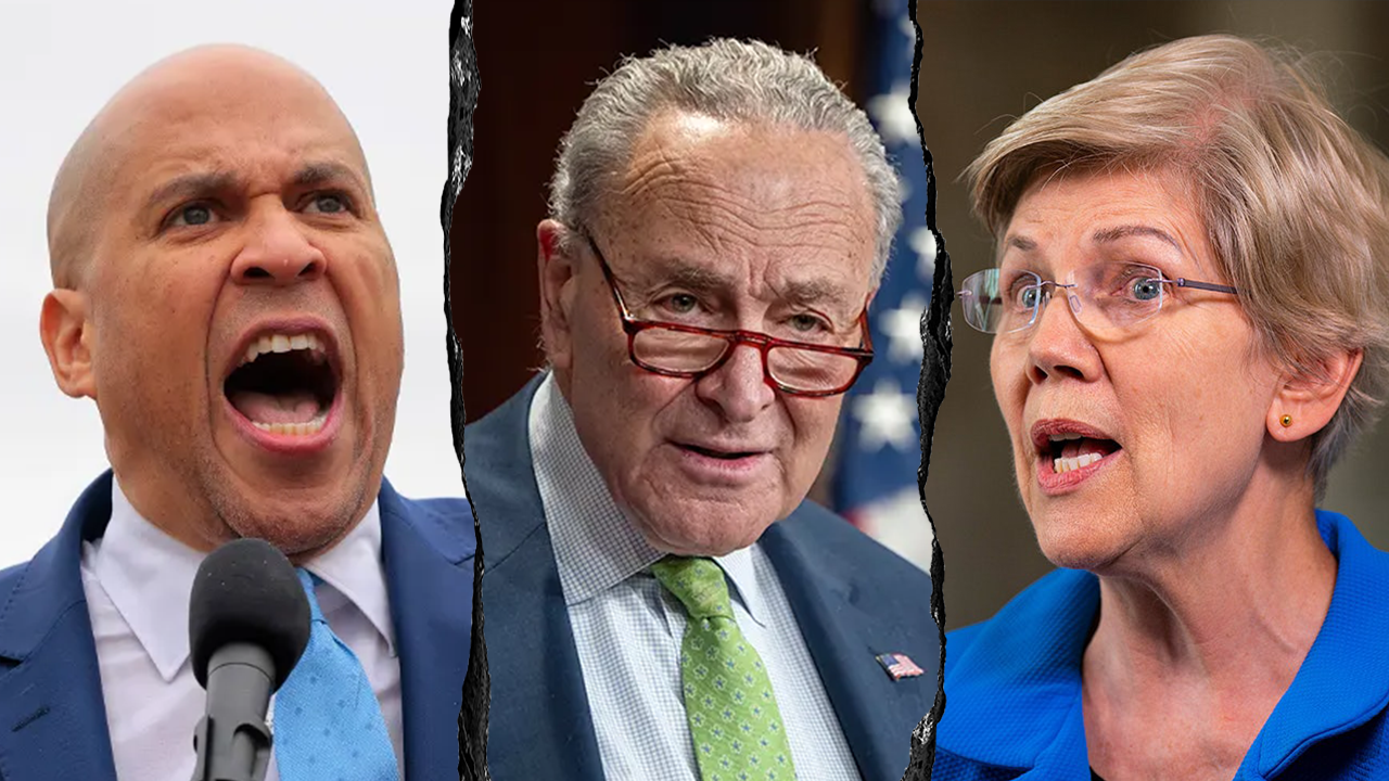 booker schumer warren