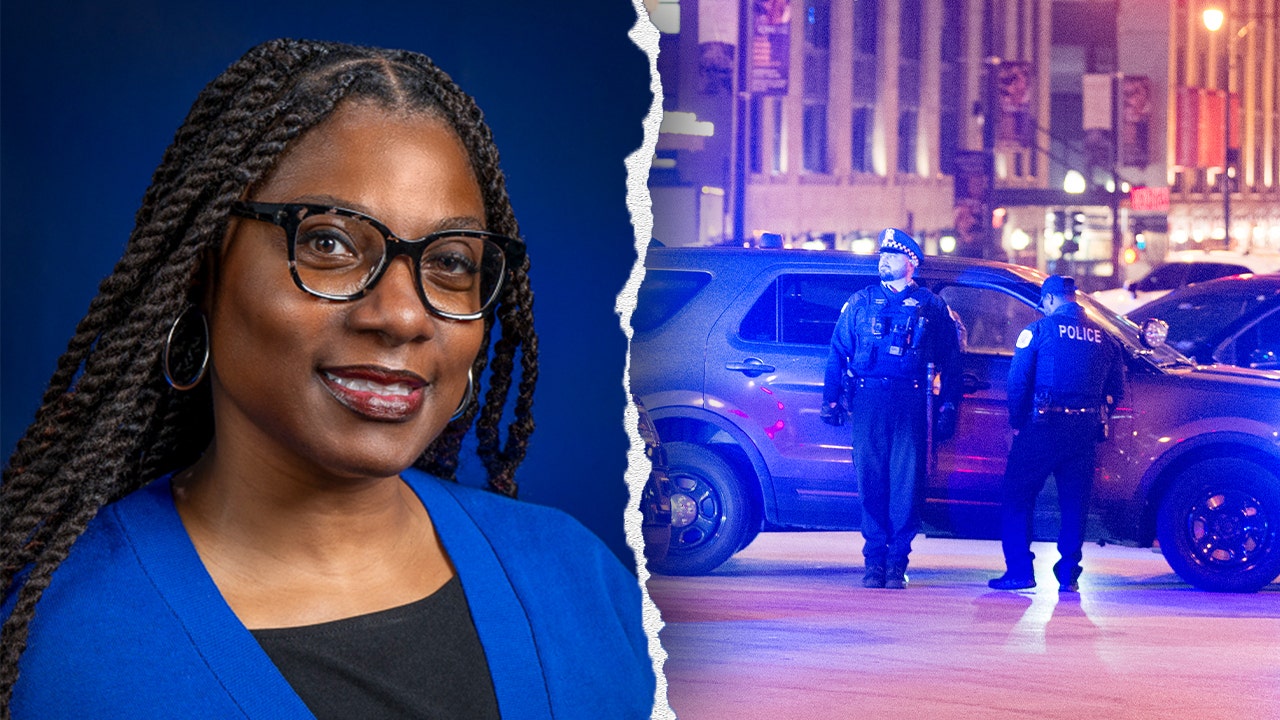 chicago police lisa davis 2