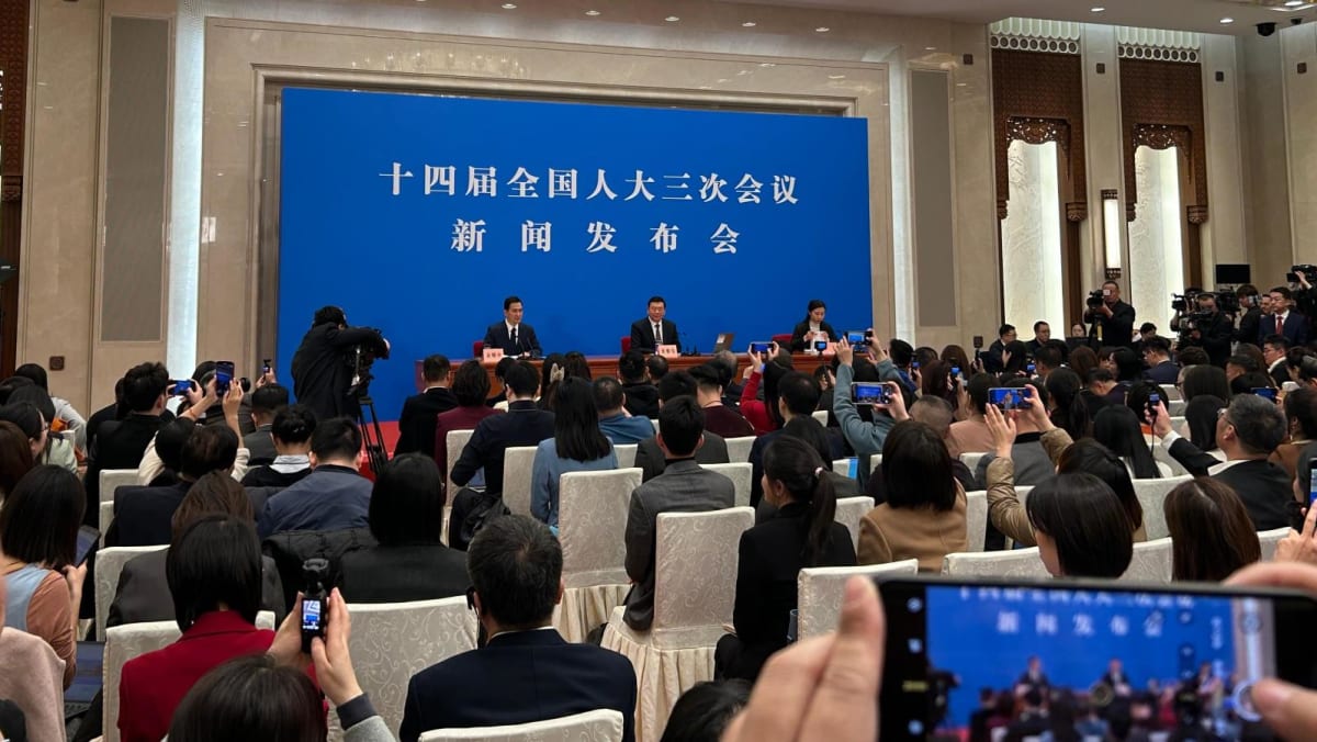 china npc press conference