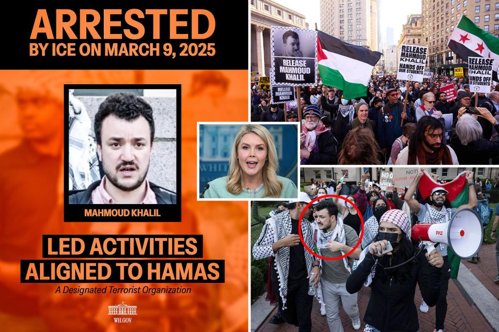 columbia protestor khalil hamas propaganda flyers deportation comp