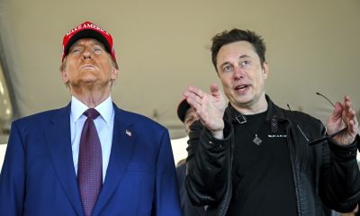 donald trump elon musk