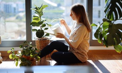 female watering plants 1200x628 facebook