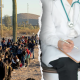 illegalimmigration healthcare arizona