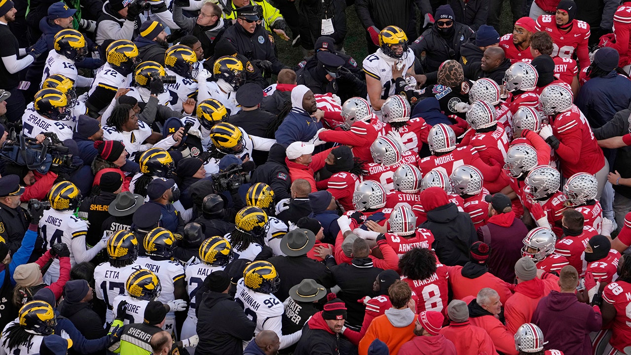 michigan brawl