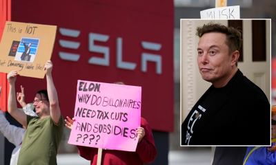 musk calls out campaign for funding tesla protests