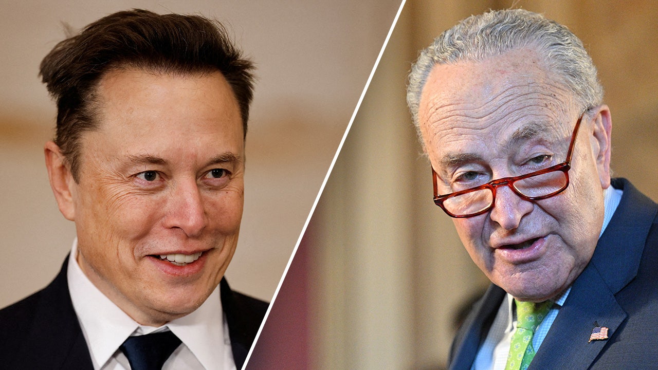 musk schumer