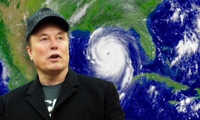 musk weather