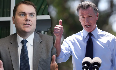 newsom demaio