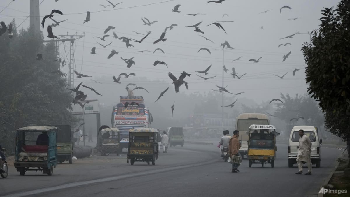 pakistan smog 44057