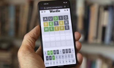 person playing wordle phone