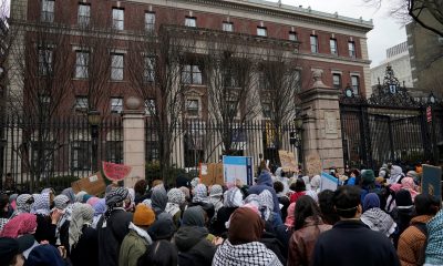 pro palestinian student protesters