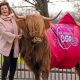 skynews elaine c smith cows 6848111