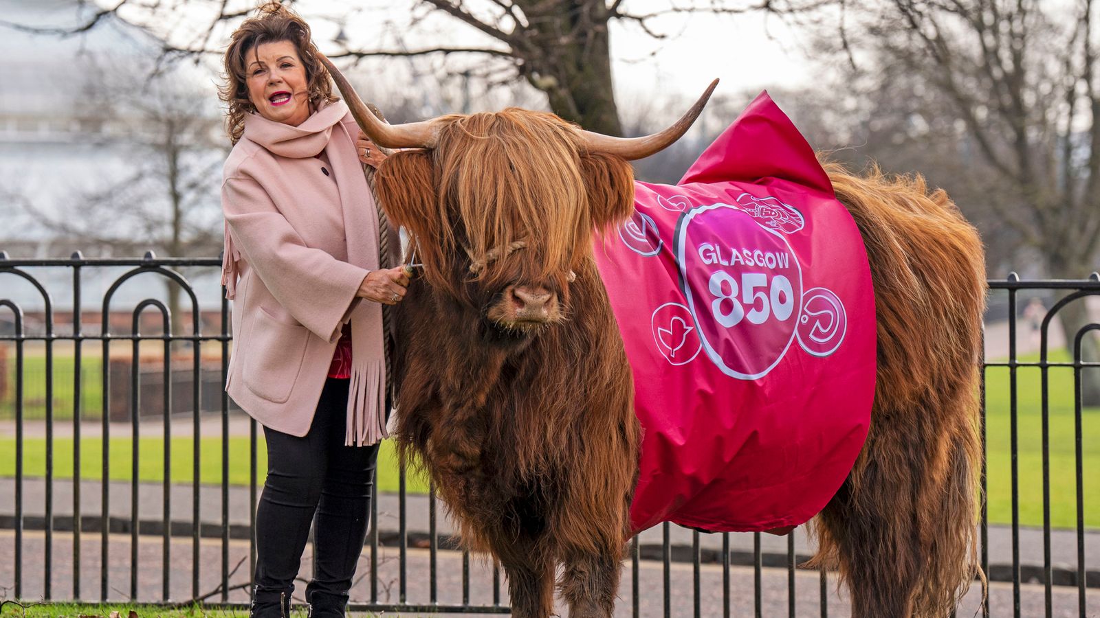 skynews elaine c smith cows 6848111