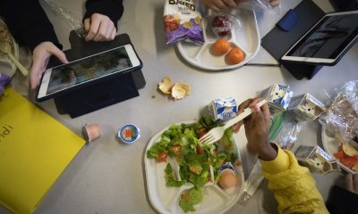 students have lunch