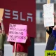 tesla musk protests