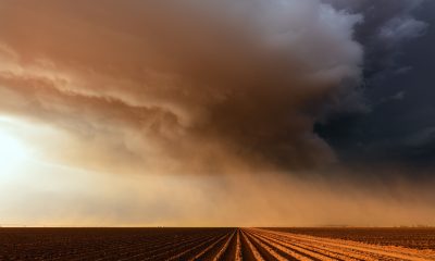 texans told stay away windows