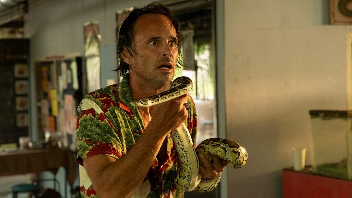 the white lotus season 3 walton goggins 1