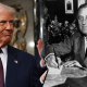 trumpfdr