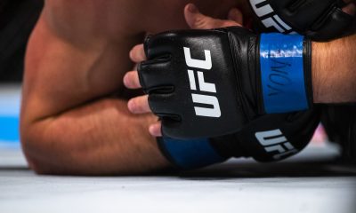 ufc gloves